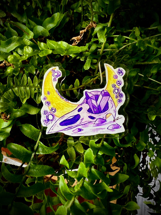 Raven Skull Acrylic Pin