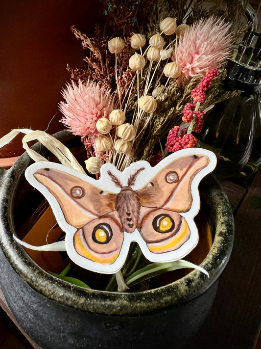 Brown Moth Sticker