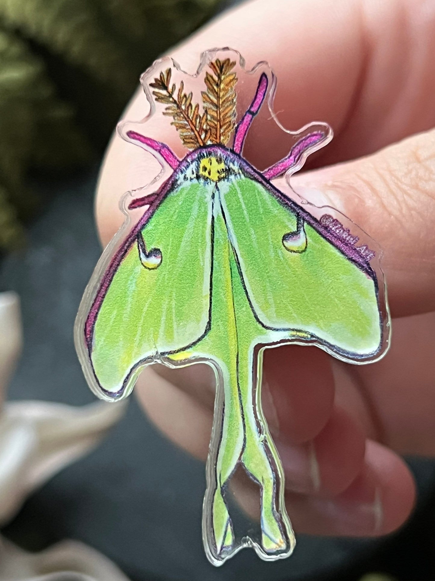 Luna Moth Acrylic pin